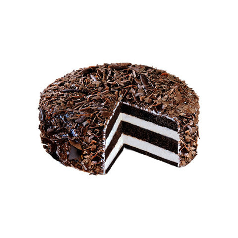 Chocolate Shaving Layer Cake
